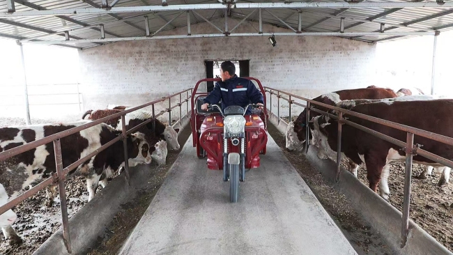 神木市尔林兔镇：践行“千万工程”经验 绘就和美乡村新图景