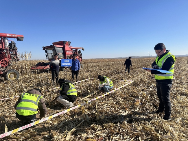 陕西靖边农机推广站:以“监测精度”护“颗粒归仓”