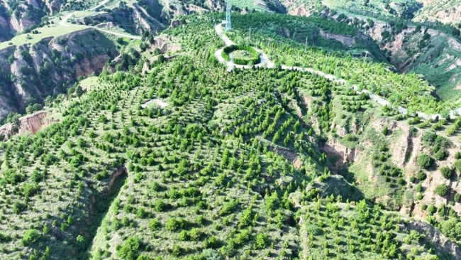 陕西府谷: 产业焕新筑根基 民生提质暖民心