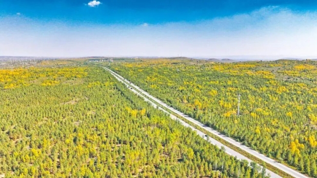 靖边海则滩万亩常青园