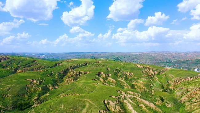 陕西府谷：“绿色”为底绘新景 “双效”共进促发展