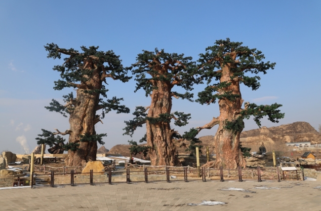 神木市杨家城景区成功创建国家AAA级旅游景区