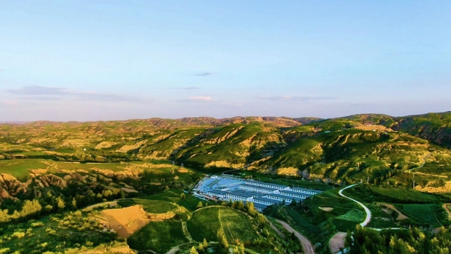 陕西府谷：“绿色”为底绘新景 “双效”共进促发展