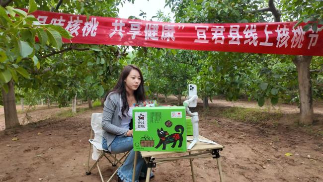 数字赋能 好物出山 宜君电商绘就乡村振兴新图景