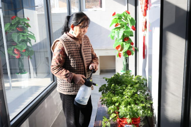 陕西神木马镇村：人居环境焕新颜 村容村貌展新姿