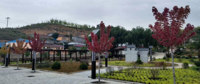 神木花石崖镇:产业兴旺促发展 乡村宜居谱新篇