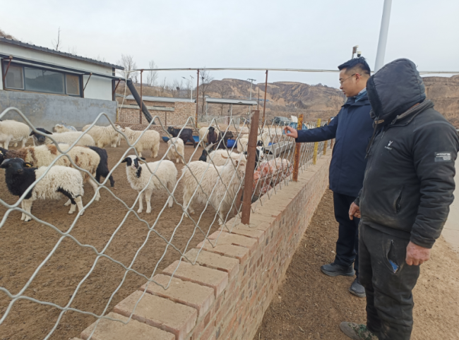 神木花石崖镇:产业兴旺促发展 乡村宜居谱新篇