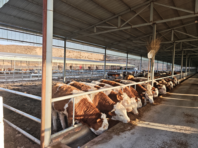 栏杆堡镇：人居蝶变展新颜 特色种养促振兴