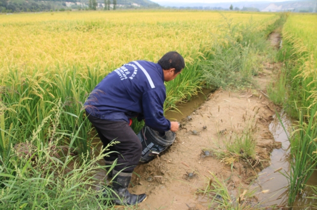 神木市高家堡镇：和美乡村展新颜 产业振兴谱新篇