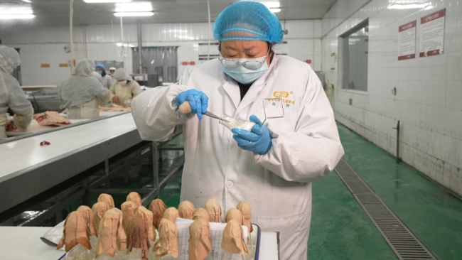 工作人员正在对分割牛肉取样检验