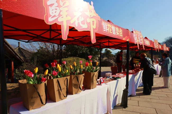 过春节 到唐苑！西安近20万株郁金香正绚烂