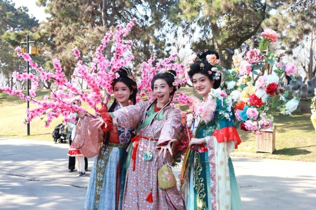 过春节 到唐苑!西安近20万株郁金香正绚烂