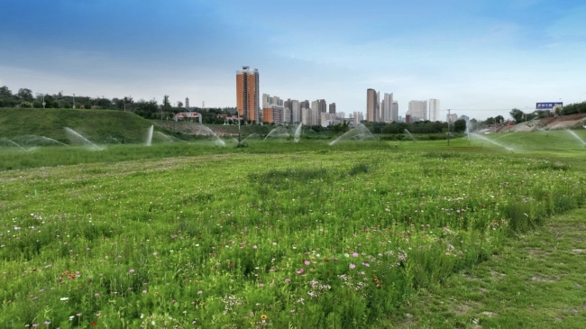 府谷县政协：以“专”赋能履职 以“智”服务发展