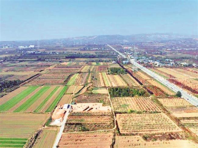 陕西三项考古 参评“十大考古新发现”