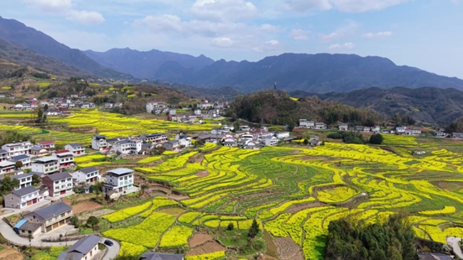 交流互鉴护梯田 携手共进促振兴——宜君县赴汉阴参加全国乡村梯田保护发展年会