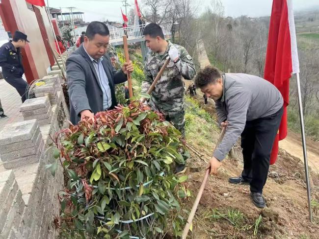 眉县营头镇：霸王河畔添新绿 干群同心绘春色