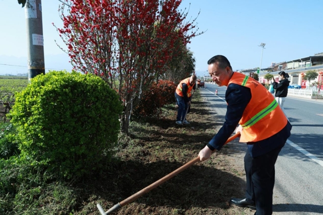 陕西眉县农村公路发展服务中心：共护公路绿廊 体验养路担当
