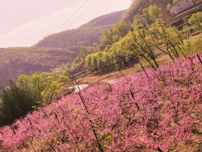 靖边这里美出圈 更“富”出圈