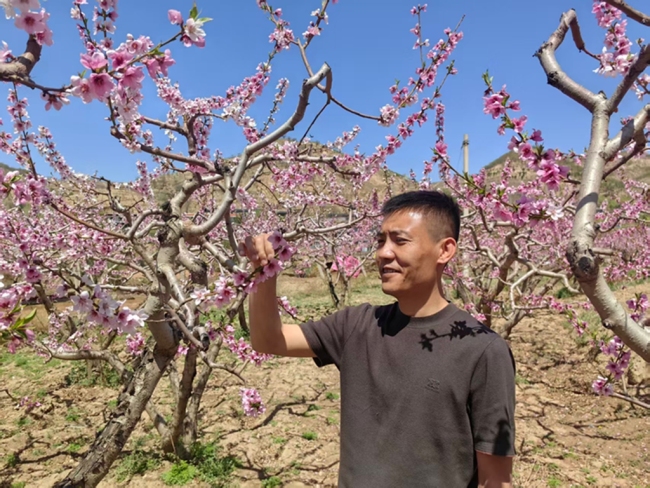靖边这里美出圈 更“富”出圈