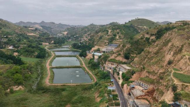 陕西榆林打造100个人才引领乡村全面振兴示范点——引才回乡，激活乡村发展新引擎