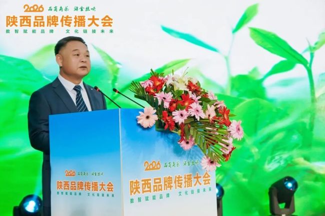沁园春茶业两款新茶即将上市 商南茶提质升级再添新优品