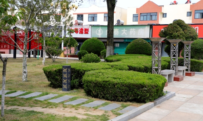 精修城市绿意 绘就宜居画卷 宜君以精细化绿化提质赋能城市更新
