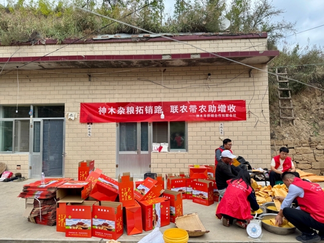 神木市高家堡镇特色杂粮启运河南