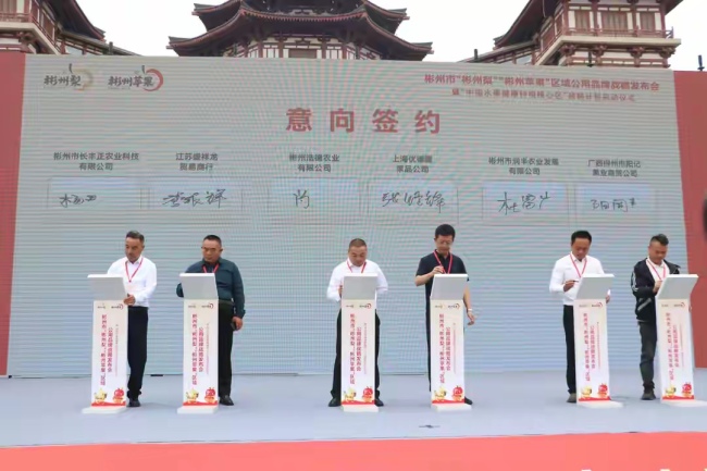 陕西彬州:擦亮区域公用品牌 筑牢健康种植根基