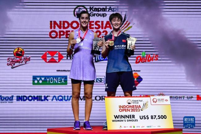 羽毛球印尼公开赛：陈雨菲女单夺冠