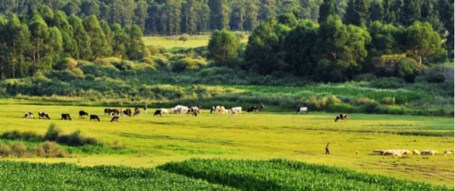 Health and Wellness in Shanxi, Summer Retreat in Shanxi — Datong: Attractions Section