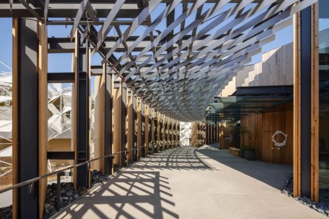 Japan Pavilion at Expo 2025 Osaka: The Poetic Cycle of Life in Wood