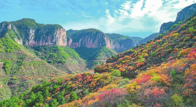 秋染四方山