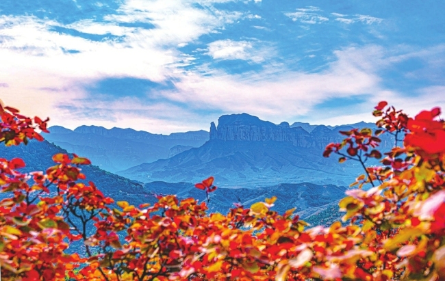 红叶满山美如画