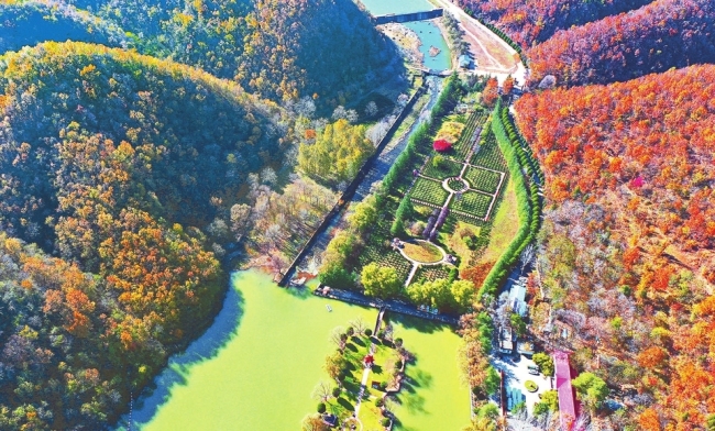 斑斓彩墨绘深秋