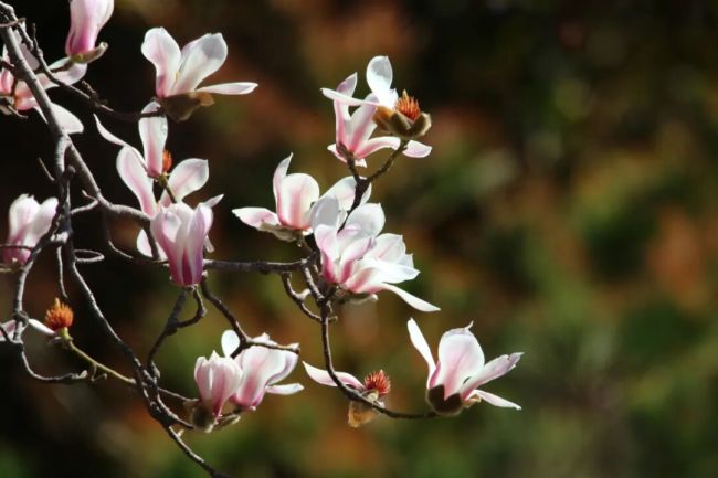 Spring Rambles in Shanxi: Taiyuan