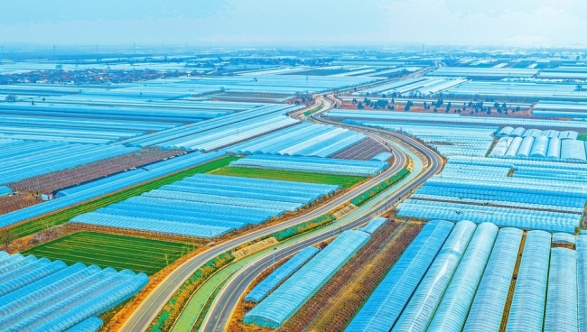 临猗：着力改善涑水河流域生态环境