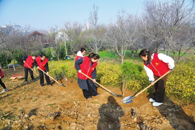 植树添新绿共建美好家园