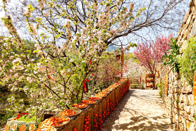 云丘山第二届仙山花朝节五一盛装启幕，邀您共赴一场穿越千年的东方仙旅