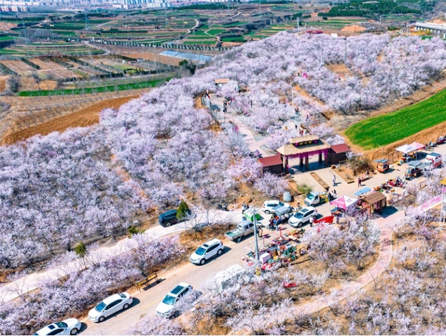 Yuncheng: Southern Shanxi’s Hidden Treasure, Beautiful in Every Season