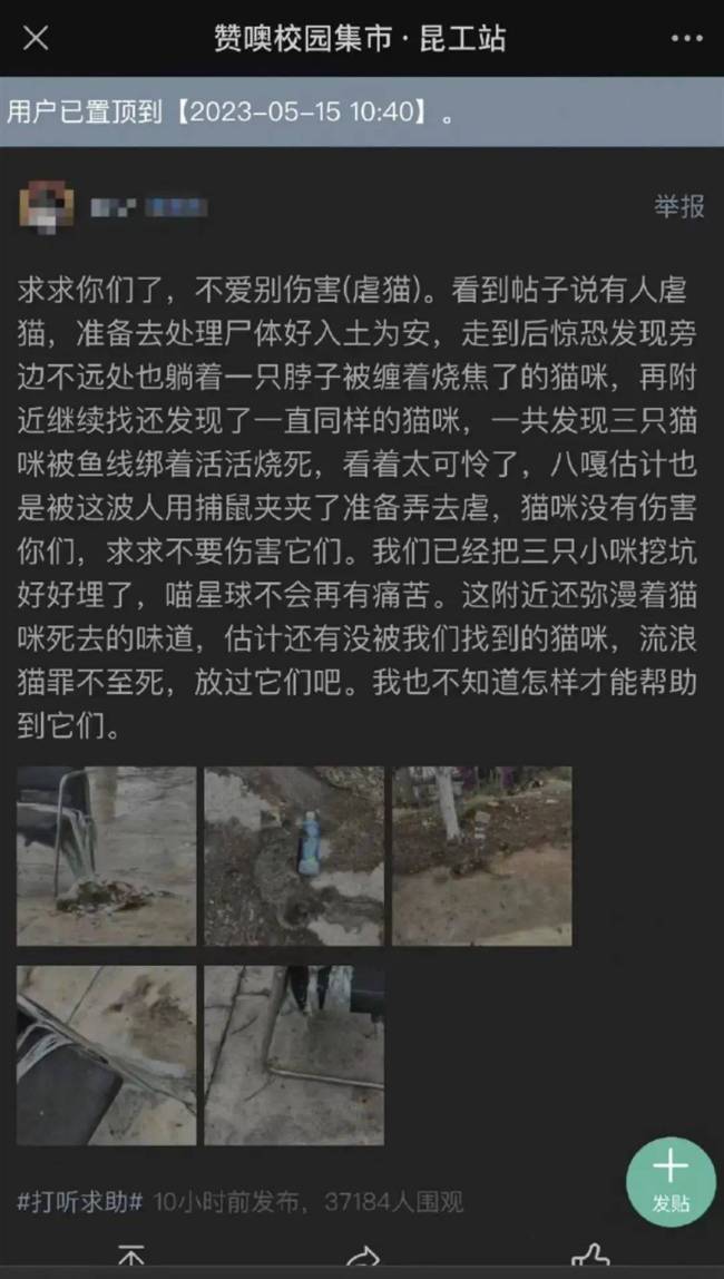 张馨予、赵露思等明星被人肉“开盒”后，让我确信“恶魔”在人间