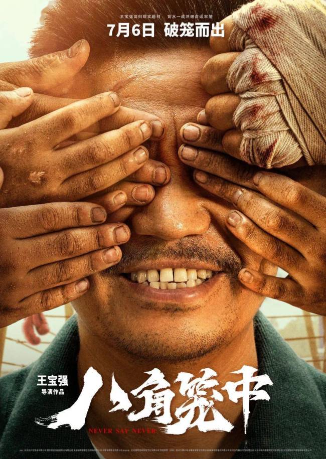 11年后再看《泰囧》，明白了王宝强为何能打造出《八角笼中》