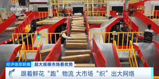 世界之最！这个超大规模市场 加速狂飙→