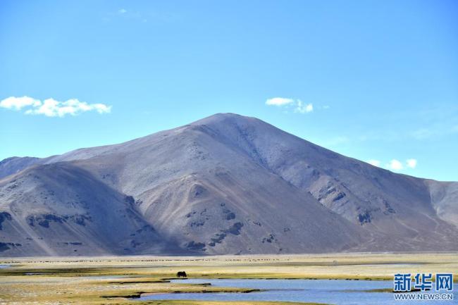 西藏定结湿地：静水如镜（图）
