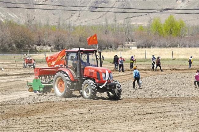 西藏：田间耕种忙