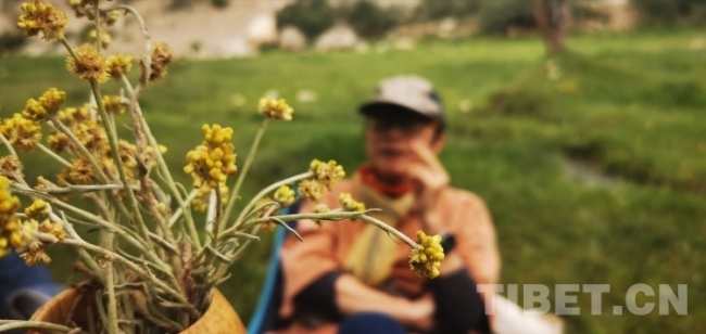高原上的寻“尝”之旅——“虎穴寺”下美食宴