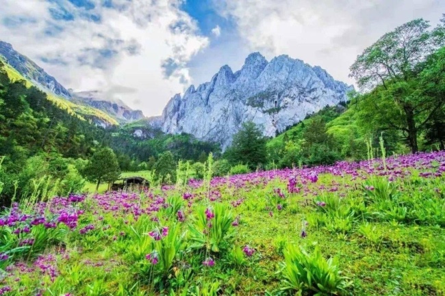 观云台·迪庆|徒步天堂，这份“王炸”秘境大盘点拿走不谢