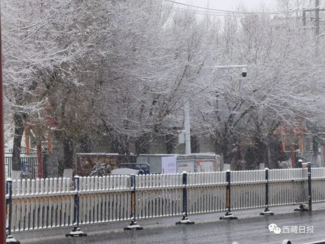 拉萨初雪，如约而至！