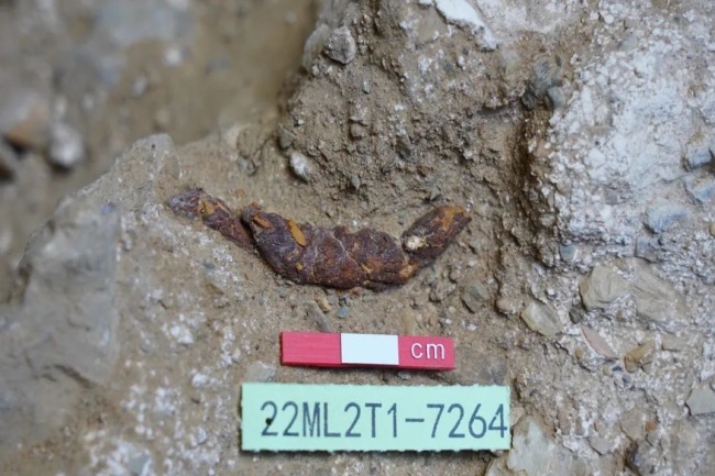 青藏高原腹地史前洞穴遗址考古重大发现:西藏革吉梅龙达普洞穴遗址遗存早于距今5.3万年