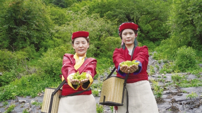 “皖藏一家亲” 真情洒高原