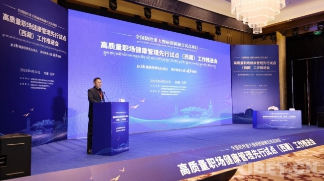 专家齐聚拉萨 共话高质量职场健康管理